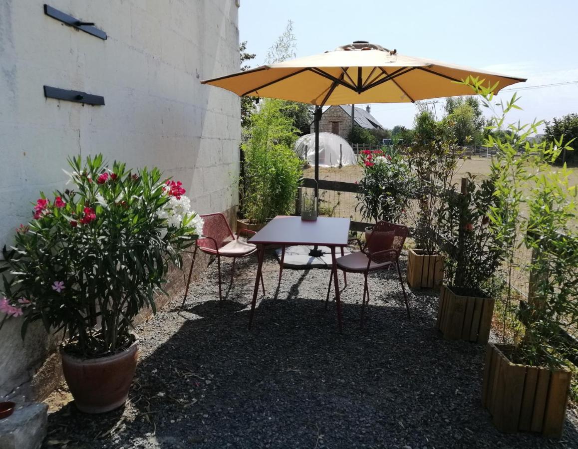 Bel Appt 3 Pieces, A L'Etage, Jardin Privatif, Au Calme, 10 Mn Saumur Et Cnpe Varennes-sur-Loire Exterior foto